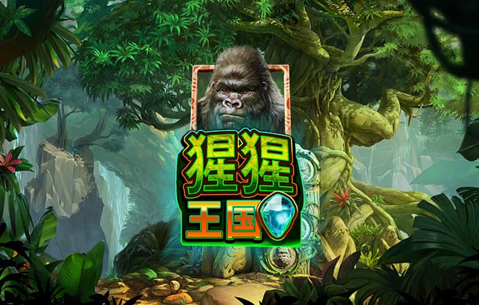 四九图库开奖结果澳门